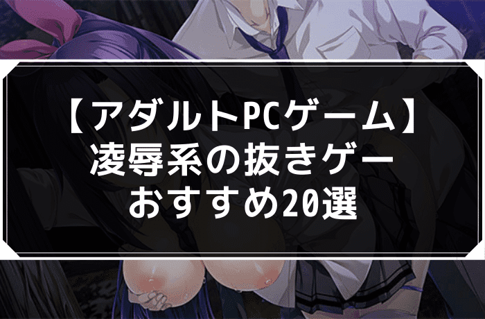 【アダルトPCゲーム】凌辱系の抜きゲーおすすめ20選